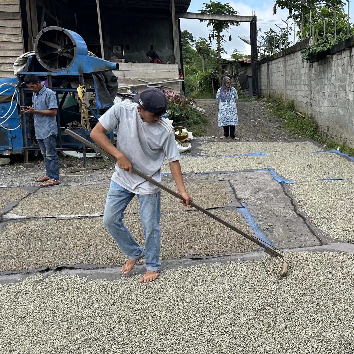NEW COFFEE OF THE MOMENT: Sumatra - Wahana Rasuna