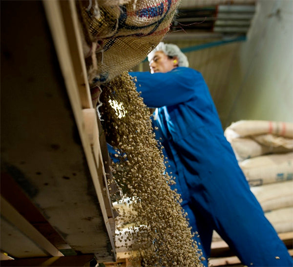 Swiss Water™ Decaf Sumatra