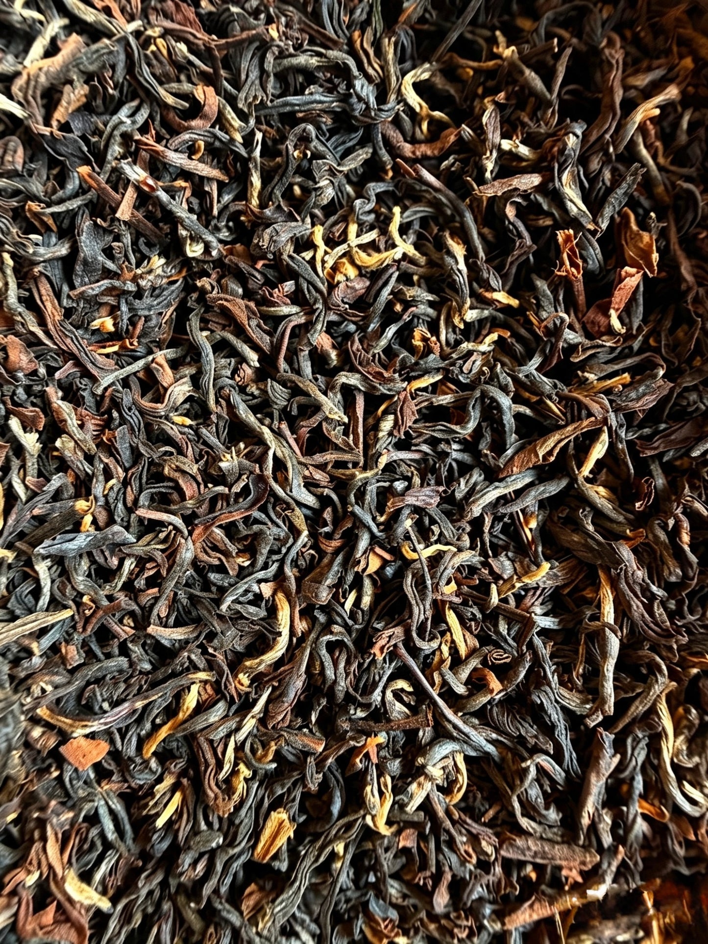 Darjeeling - Organic