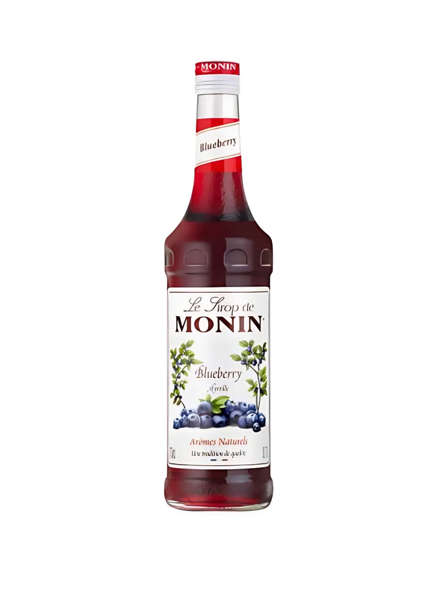 Monin Syrup - 700ml glass bottle