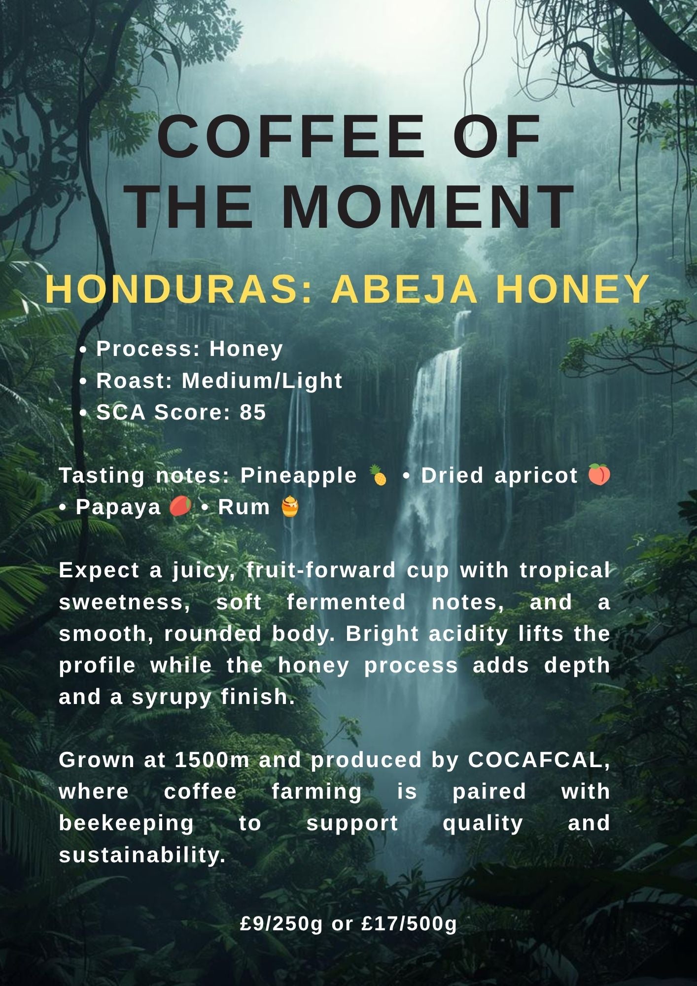 Honduras - Abeja Honey