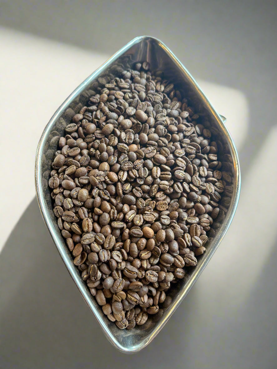 KENYA - Acacias 'AA'