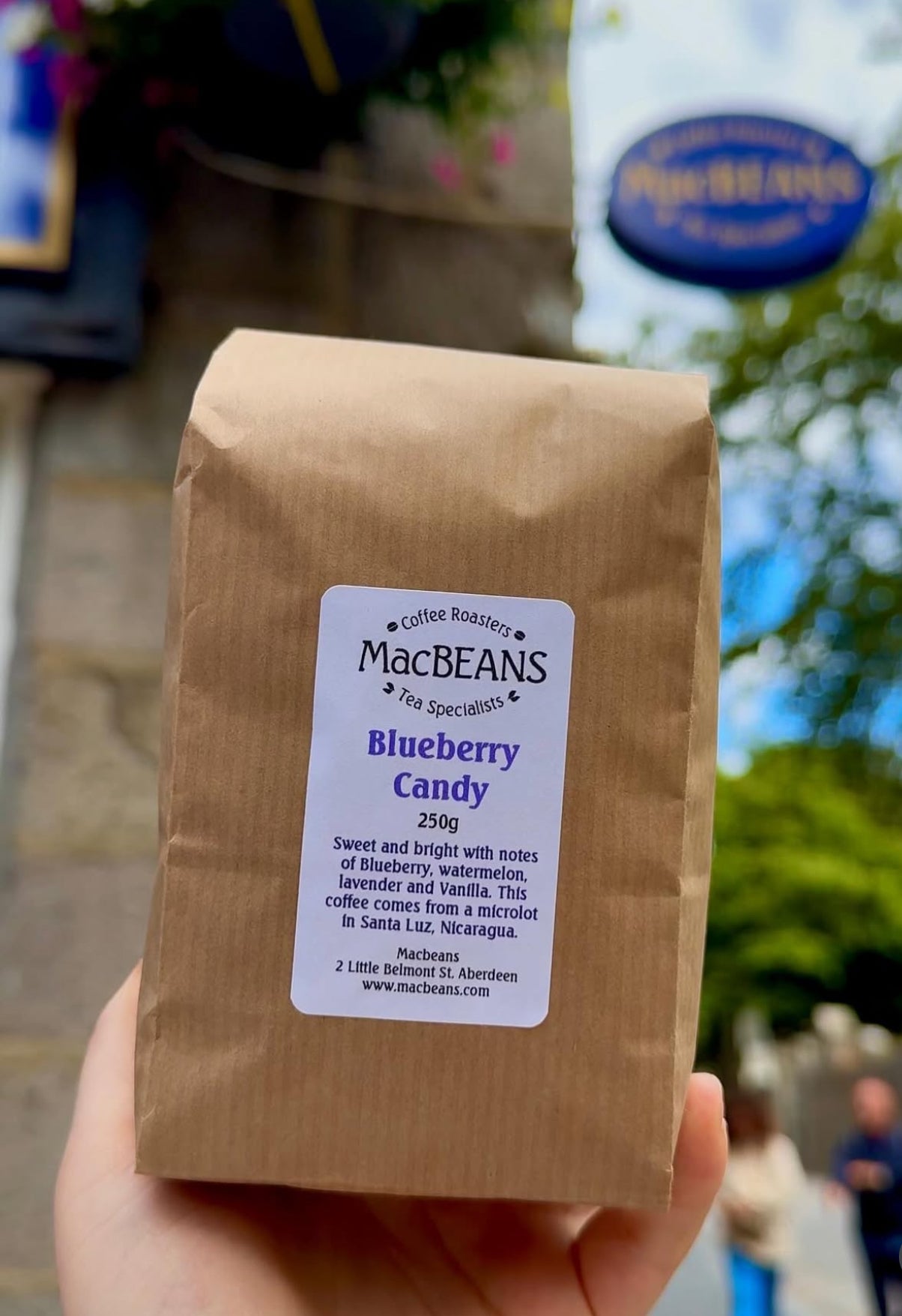 Nicaragua - Blueberry Candy
