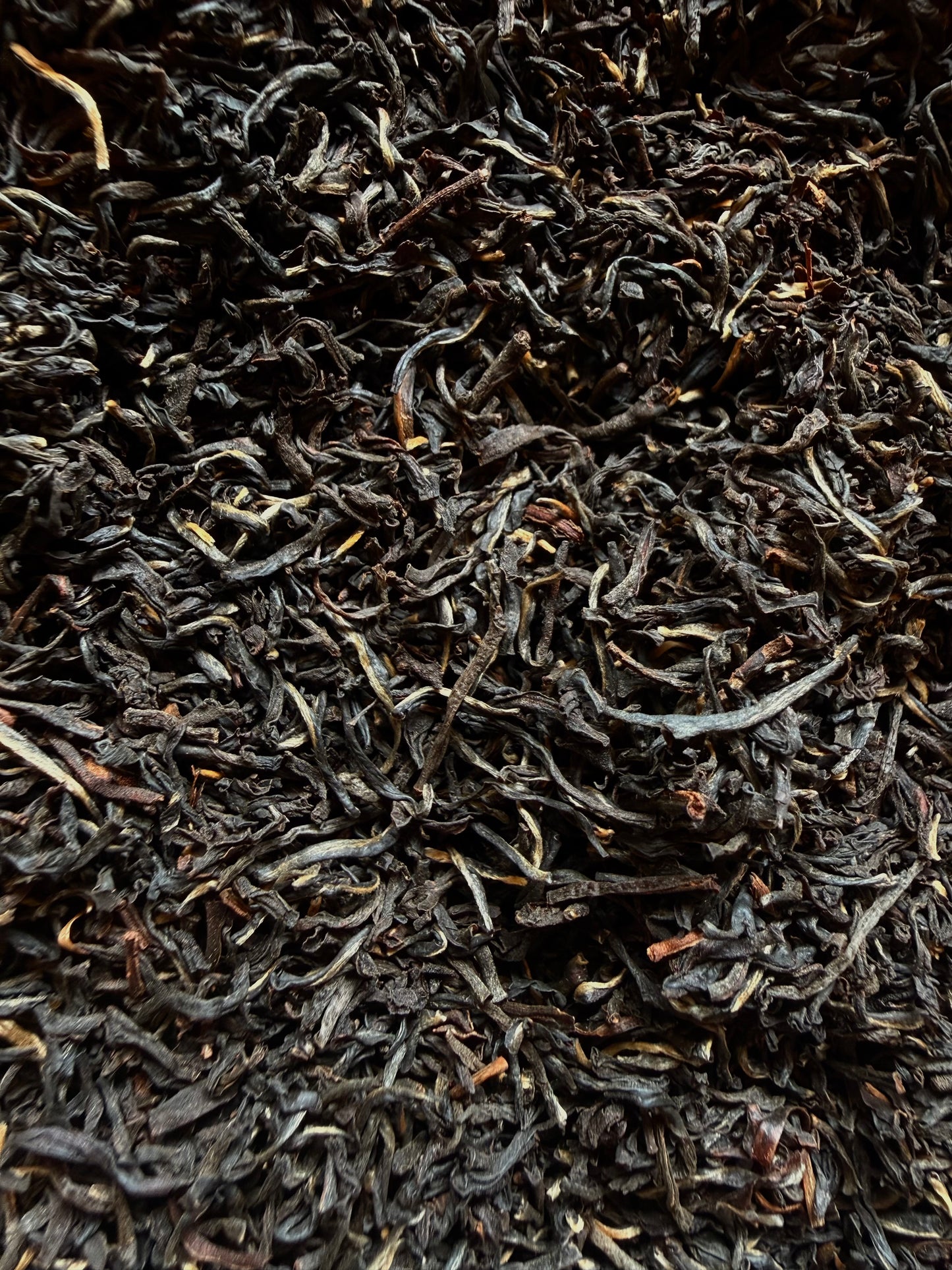 Ceylon - Silver Tip