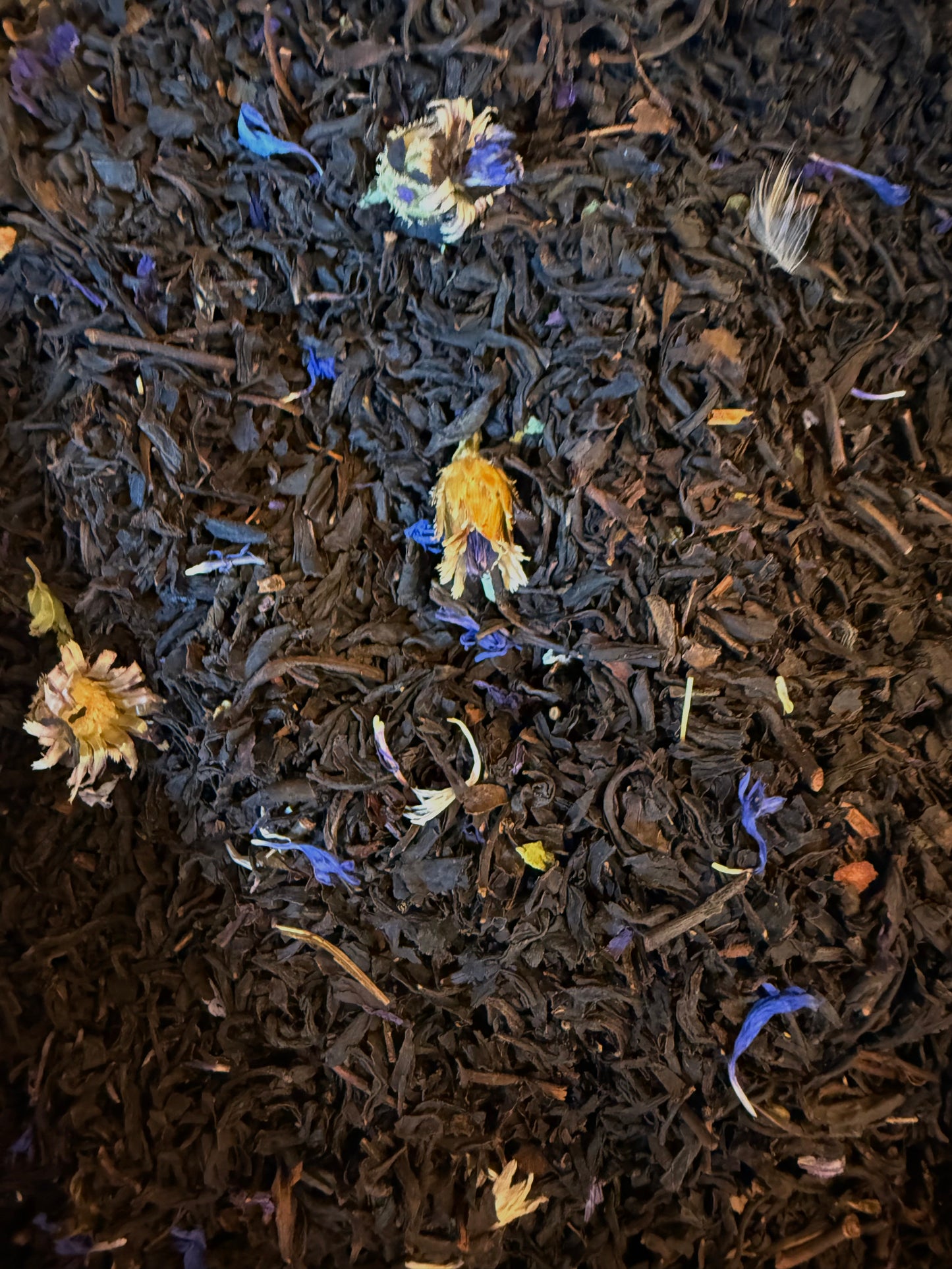 Earl Grey - Blue Lady