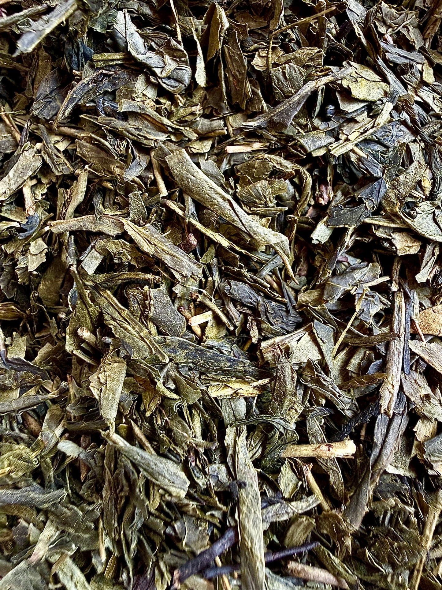 Sencha
