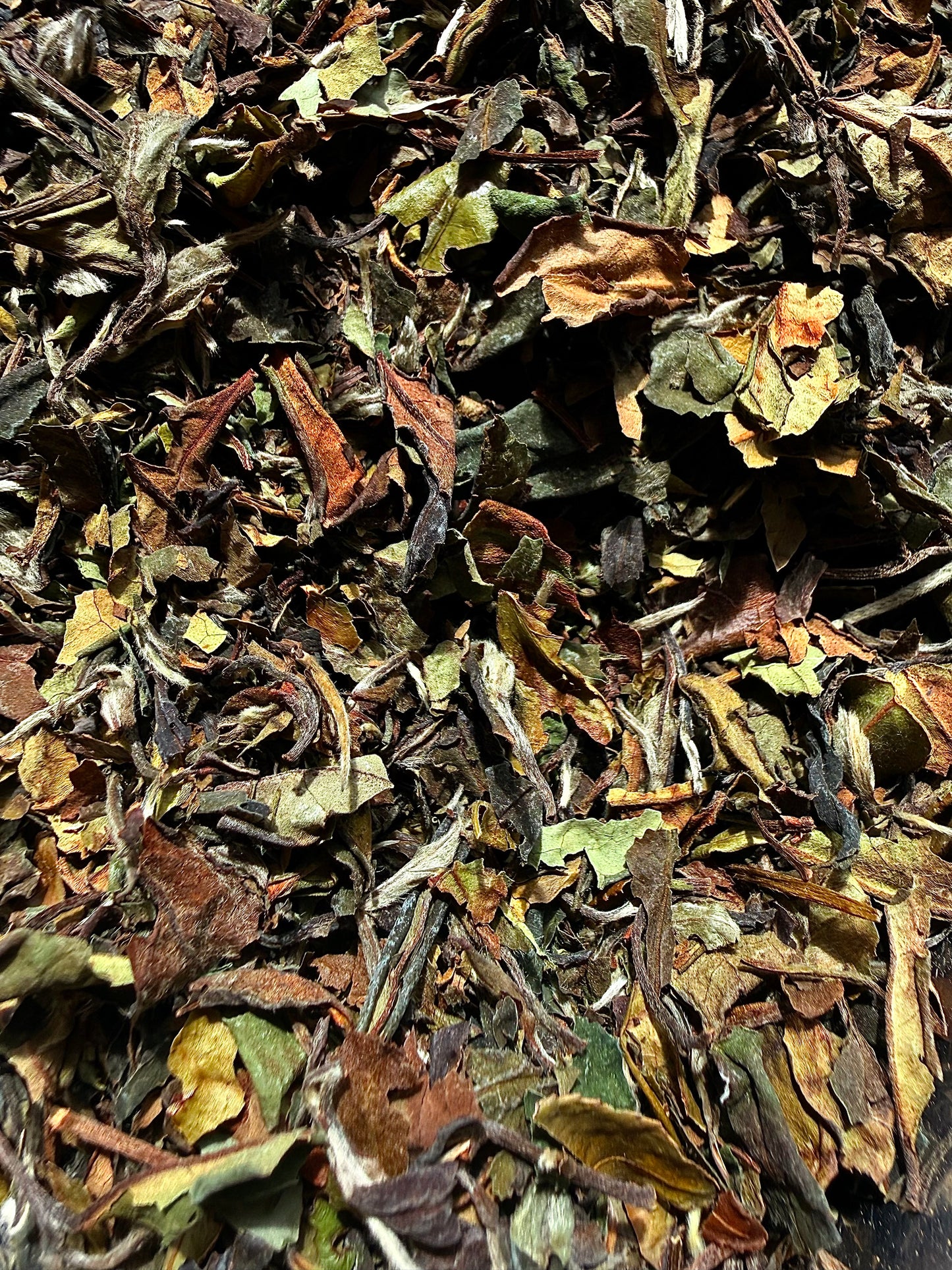 Pai Mu Tan (50g)