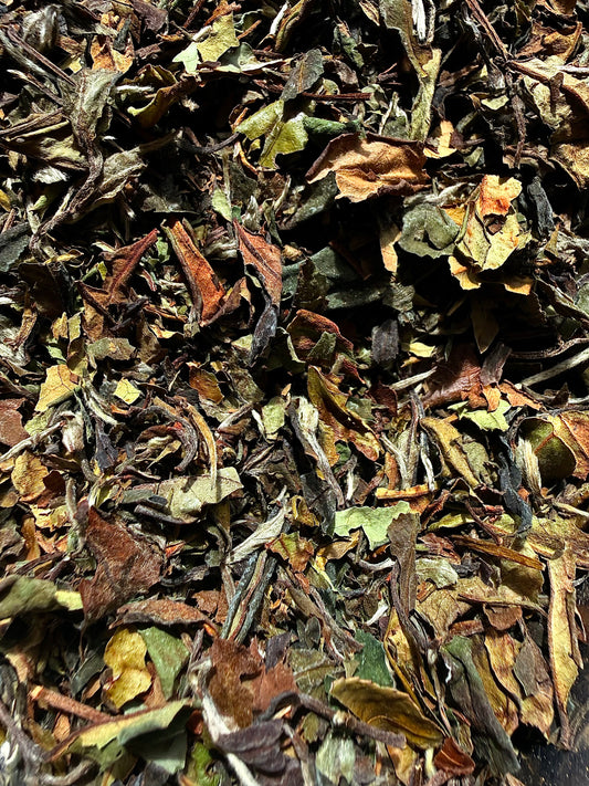 Pai Mu Tan (50g)