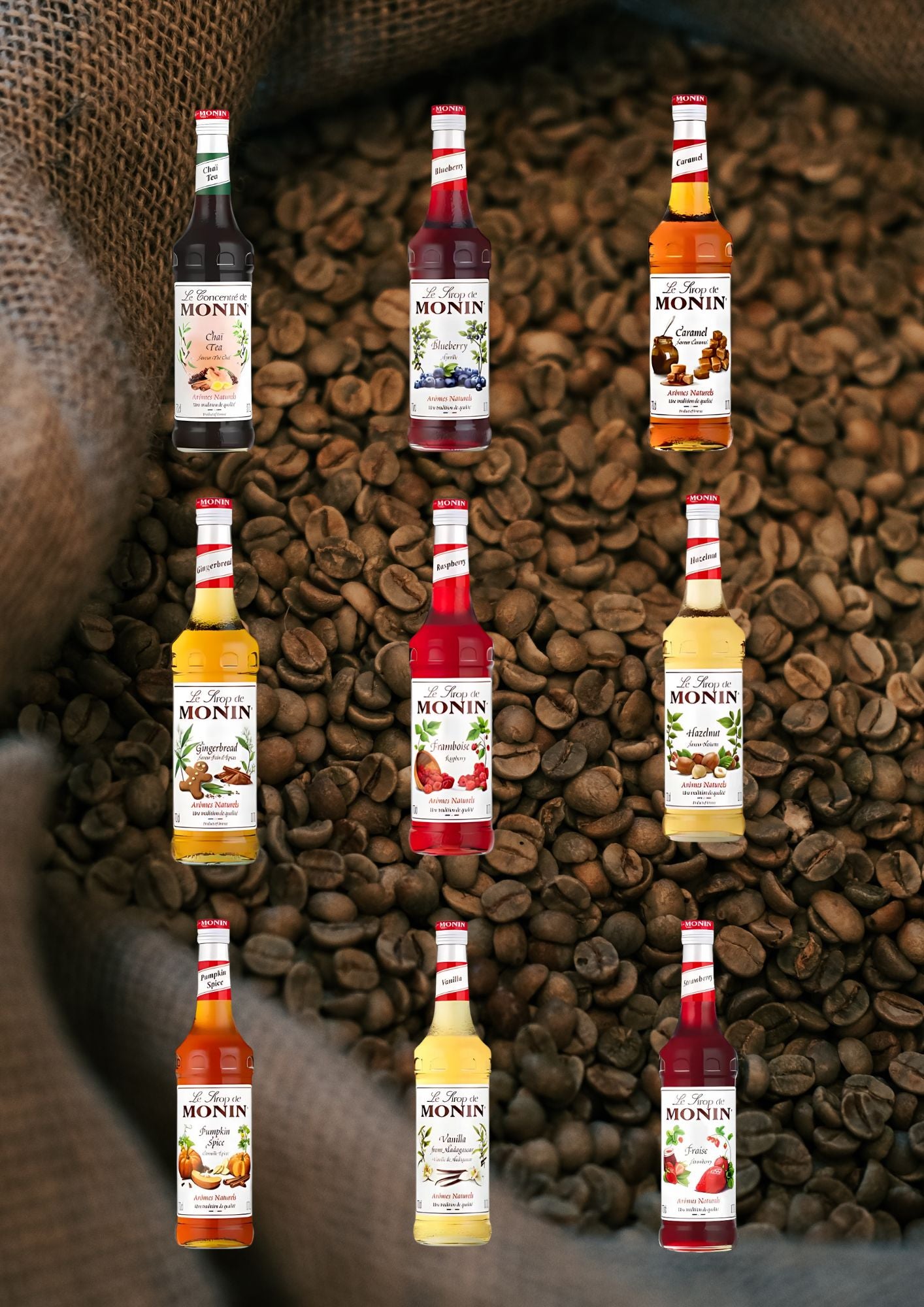 Monin Syrup - 700ml glass bottle