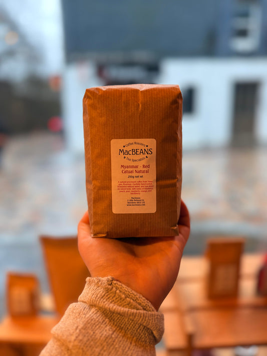 NEW Coffee of the Moment - MYANMAR: Red Catuai - Natural Process