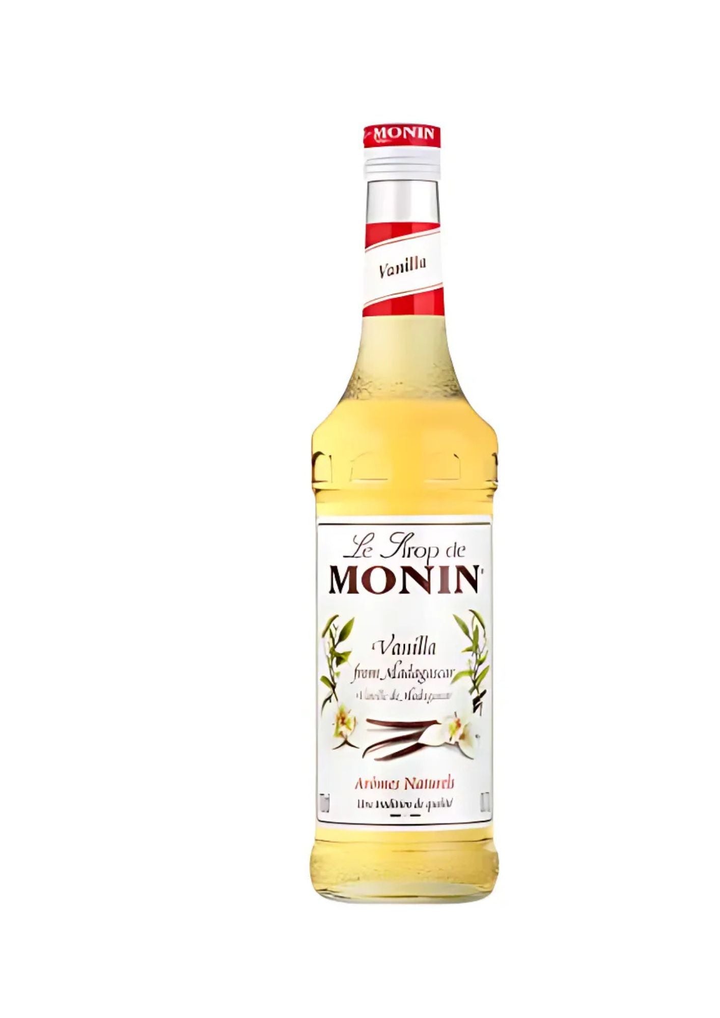 Monin Syrup - 700ml glass bottle