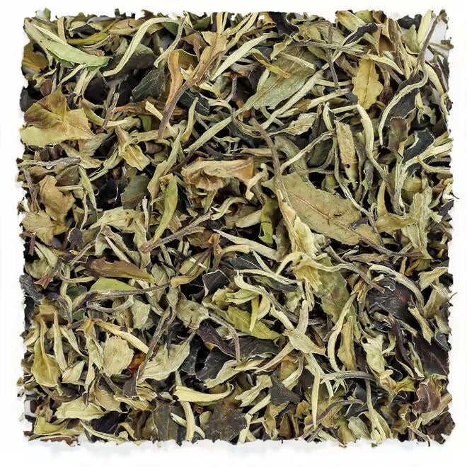Pai Mu Tan (50g)