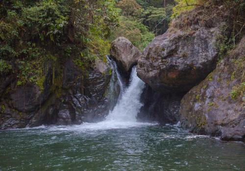 COSTA RICA - La Laguna