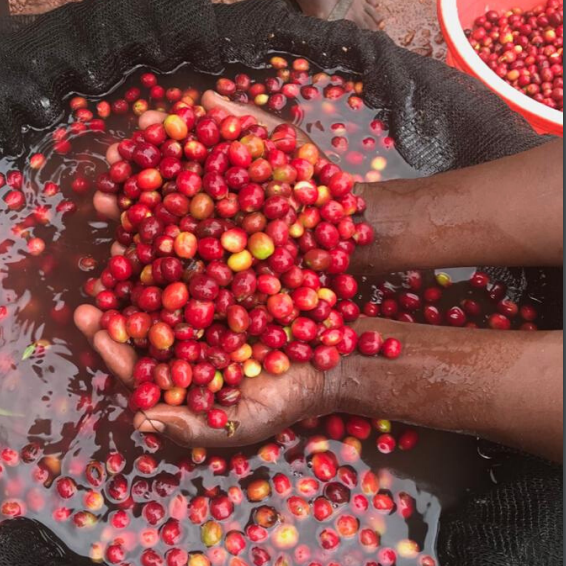 Rwanda - KCRS